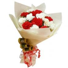 Warm Wishes